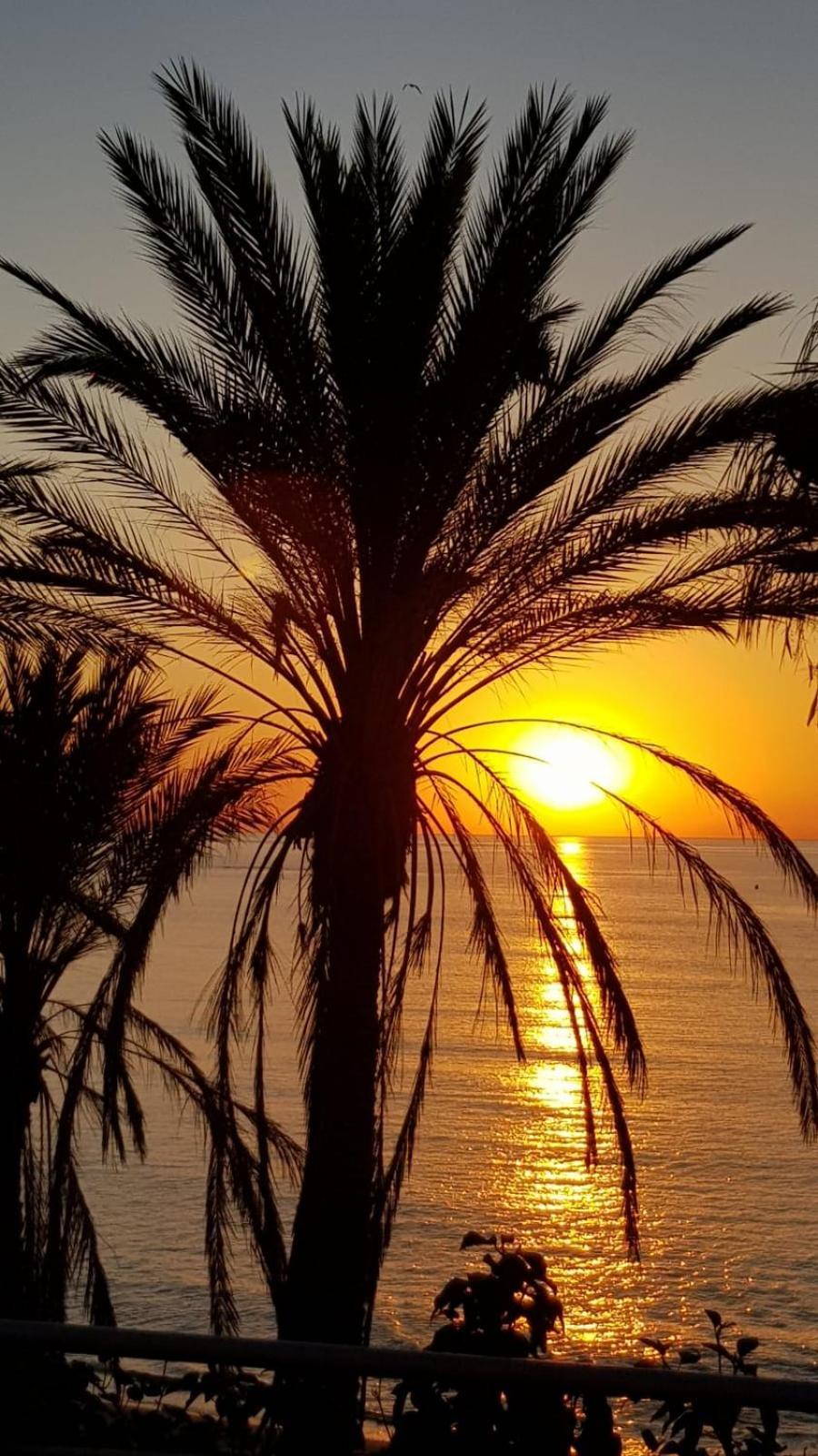 Aloha Beach Vibe Benalmádena Extérieur photo
